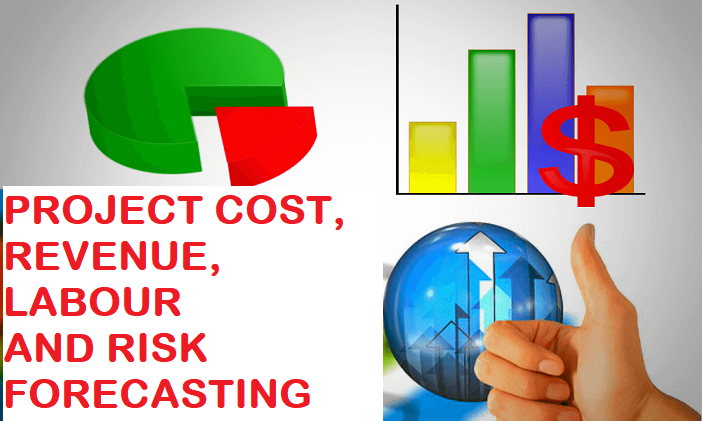project forecasting cost cash flow and revenue
