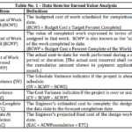 Data Item for Earned Value Analysis