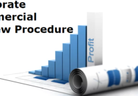 Corporate Commercial Project Review Procedure