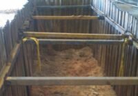 Sequence of Sheet Piling Installation Work
